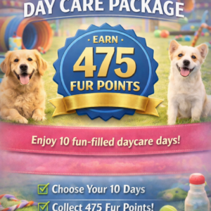 10- Pack Day Care (Full Day - 12 Hr Max)