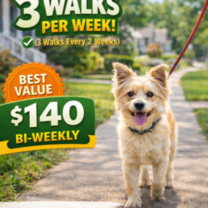 3 Walks Per Week
